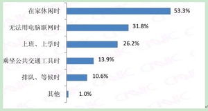 中國(guó)互聯(lián)網(wǎng)絡(luò)信息中心（CNNIC）的互聯(lián)網(wǎng)數(shù)據(jù)服務(wù)概述