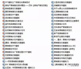 營銷策劃 聚焦顧客價值，驅動持續增長